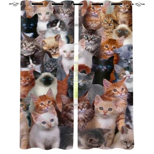 Animal Multi Color Cat Curtains for Living Room Bedroom Kitchen Window Treatment Curtain Home Decoration