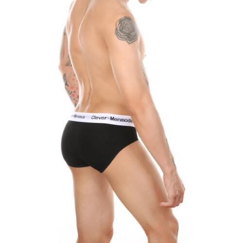 Hot Sale Briefs Men Cotton Underwear Male Panties Cueca Lingerie U Pouch Comfortable Underpants Slips Homme Breathable Plus Size