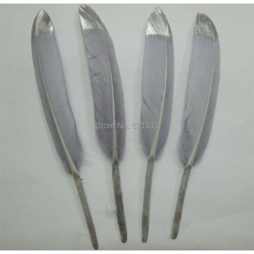 50Ppcs/lot!Silver Dipped Feathers,Grey and Silver, Trending Party Decor, Feather Home Decor, Cruelty Free Feathers