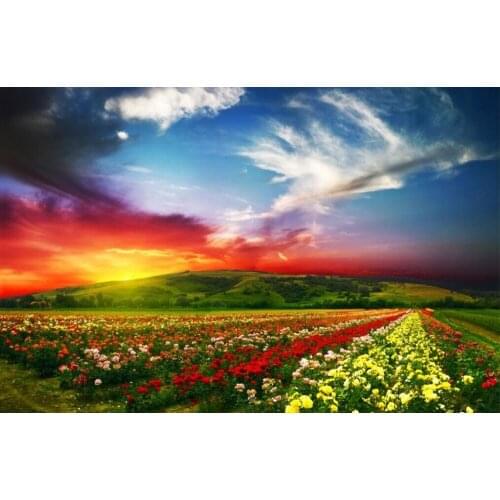 Rose sea The wooden puzzle 1000 pieces ersion jigsaw puzzle white card adult childrens educational toys