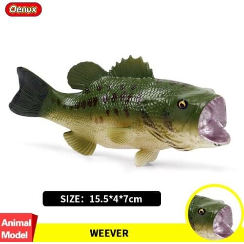 Oenux Lifelike Sealife Bass Fish Simulation Ocean Marine Animal Weever Sea Perch Action Figure Model PVC Collection Toy For Kids