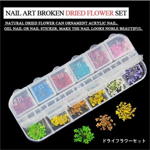 1set /lot Real Dry Dried Flower for 3D UV Gel Acrylic False Tips Nail Art Salon