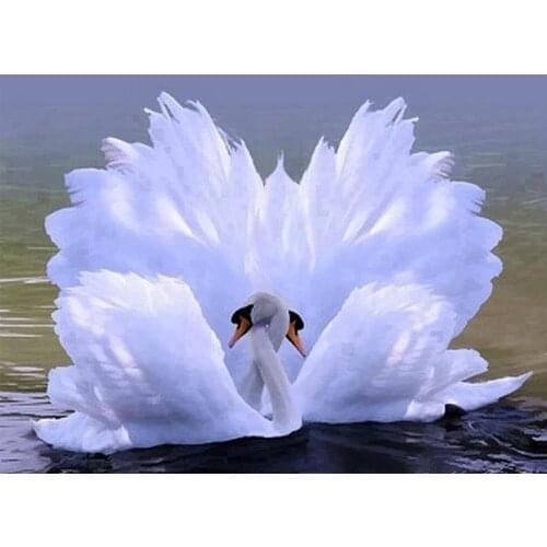 Diy Diamond embroidery swan Diamond painting Goose Square Diamond mosaic icon Floral for embroidery paintings Great White Gooses