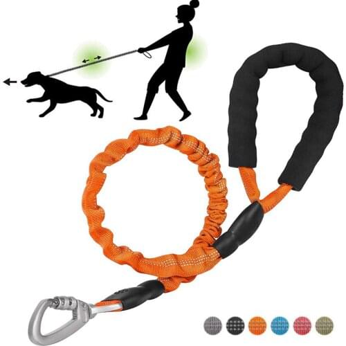 Dog Leash Reflective Elastic Nylon Rope With Padded Handle Safety Walking Harness Collar Leader Rope For Small Medium Large Dogs
