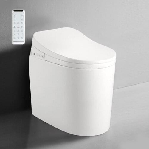 KASG DV118G Fully Automatic Multifuncational Instant Hot Drying Toilet