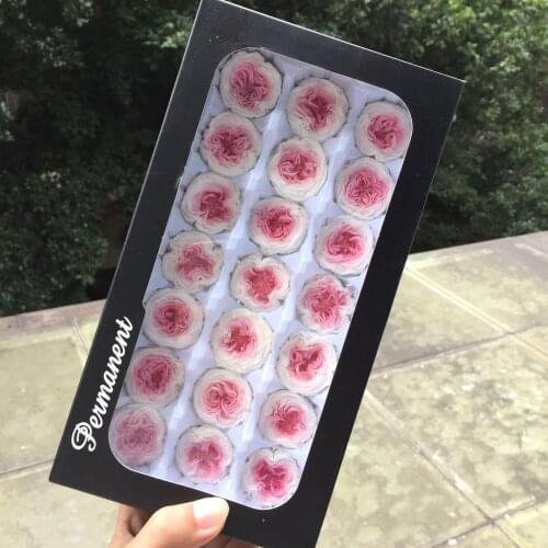 2-3CM/21pcs,Grade A Preserved Austin Rose flower Head,Eternal Mini Roses for Wedding Party Decoration,Event Day Gift Box Favor