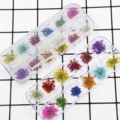 24Pcs Real Pressed Flower Annes Lace Dried Flower Nail Art Resin Jewelry Making