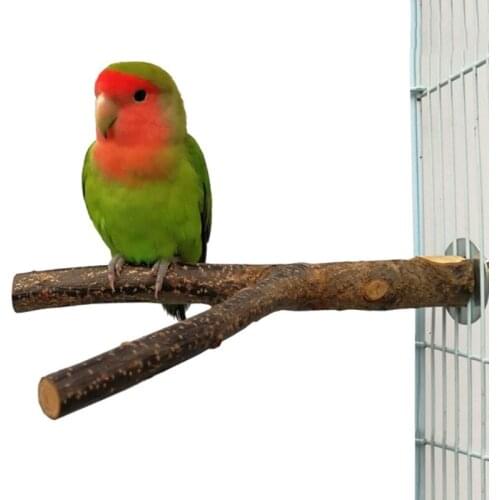 Mini Metal Four-wheeled Vehicle Funny Parrot Toy Birds Training Plaything Supplies Pet Educational Interactive Props for Parakee