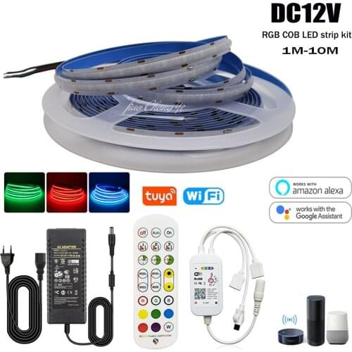 RGB DC12V 24V 756LEDs/m High Density Flexible FOB COB Linear Led Lights Tape with Tuya WiF 24key IR controller LED power kIT