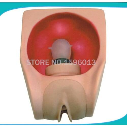 Female Contraception Practice Model, Education Medical IUD Training model