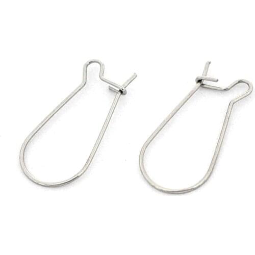 25mm Stainless Steel 316L Ear Wires Earring Hook Kidney Earwires Findings DIY