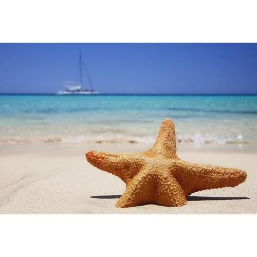 Beach Starfish Art Film Print Silk Poster Home Wall Decor 24x36inch