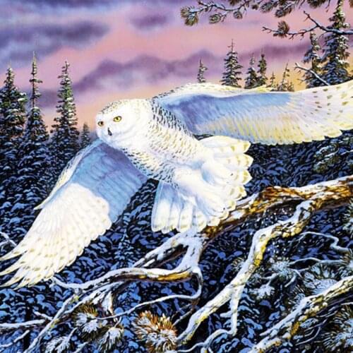 New White Owl Animal Embroidery for Needlework Crafts14CT Counted Unprinted DIY Cross Stitch Kits Handmade Arts Wall Decor