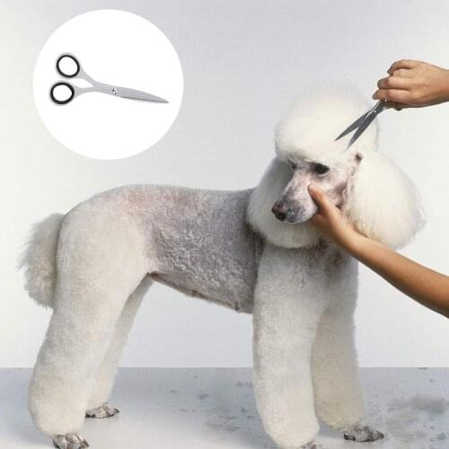 Pet Dog Scissors Stainless Steel Scissor Dog Grooming Scissors Curved Scissor For Pet Grooming Professional Pet Cleaning Product