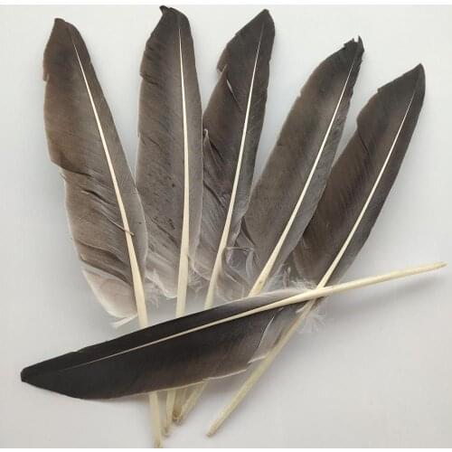 Wholesale 10pcs Beautiful Natural Turkey Feathers 10-14inches/25-35cm Diy Wedding Christmas Home Craft Decoration