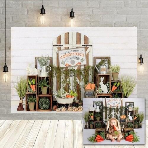 Mehofond Background Photography Spring Easter Carrot Wood Door Green Plants Newborn Baby Shower Party Backdrop Photo Studio Prop