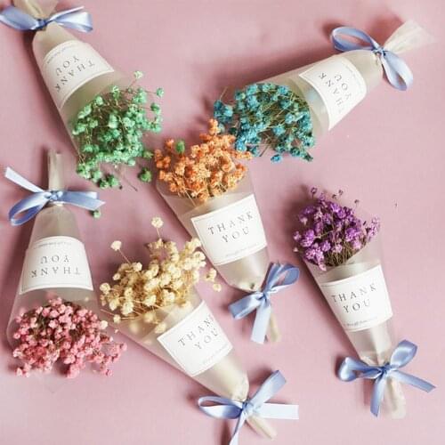 Mini Starry Natural Dry Flower Wedding Home Interior Decoration DIY Craft Sky Stars Flower Photo Props