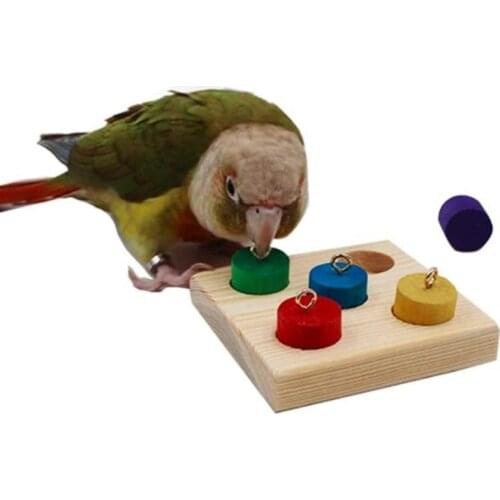 Pet Bird Educational Toys Parrot Interactive Training Wooden Block Birds Puzzle Toy DIY Toy Accessories Bird Supplies