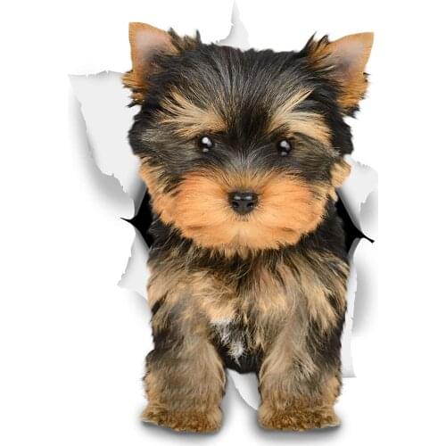 DasDecal Adorable Brown Yorkie Car Sticker Decoration Cover Scratch Decal Laptop Truck Motorcycle Auto Accessories PVC,12cm*9cm