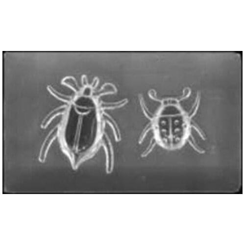 3D Carving Silicone Mold Nail Stamping Camellia/Shell/Bow Tie Pattern DIY UV Gel Acrylic Crystal Nails Template