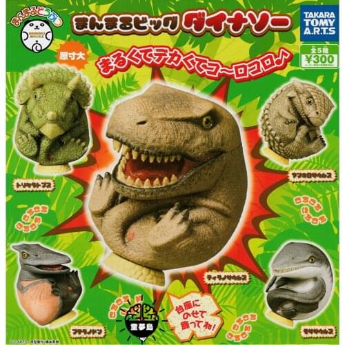 TAKARA TOMY Genuine Gacha Toys Round Dinosaur Tyrannosaurus Rex Triceratops Pterosaur Mosasaurus Corythosaurus Toys