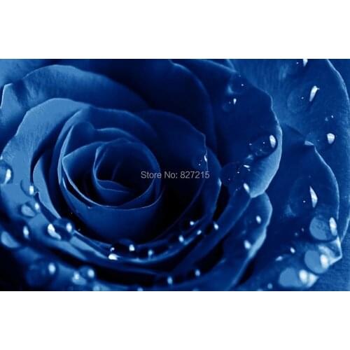 R-2834 Noble Rose Printing Ceiling Film/ Available for wall decoration/ ceiling decoration/wall paper