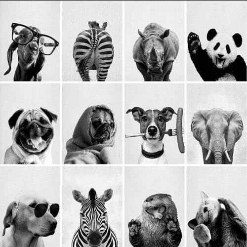 Evershine Full Square Diamond Painting Black And White Animals 5D DIY Diamond Embroidery Dog Cross Stitch Elephant Home Decor