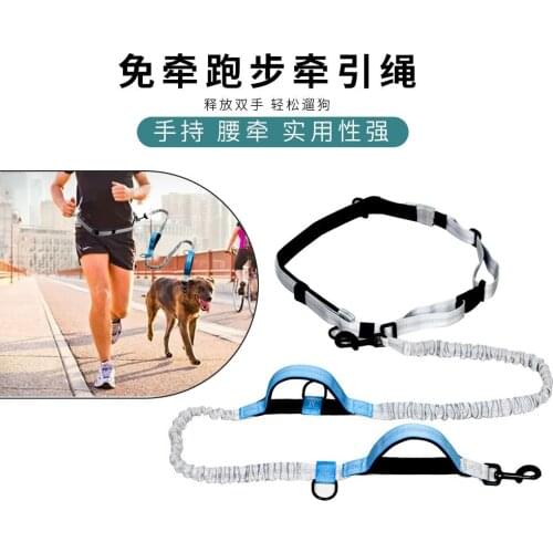 [hot Sale In 2020] Pet Running Leash Is Soft And Not Tight To Dog Leash