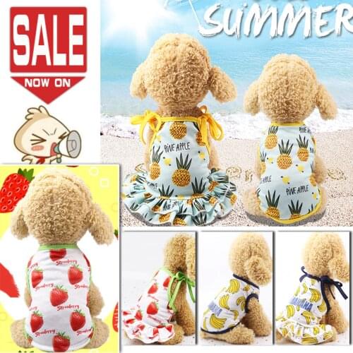 Dog Dress Summer Lovely Fruit Pet Dog Clothes for Small Dogs Chihuahua Princess Pineapple Dresses Fall Puppy Clothes Vestidos T
