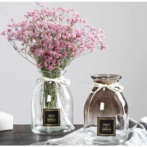 Hydroponic Plant Vase can use Rattan Sticks Purifying Air Aroma Diffuse Glass Decoration Photo Wedding Props Nordic Style Bottle