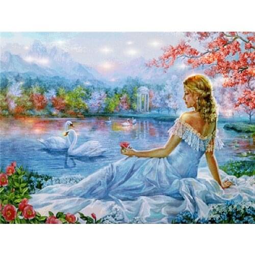 Canvas Size Diamond Embroidery Cross Stitch Woman Pictures Of Rhinestones 5D Diamond Mosaic Swan Handmade Gift