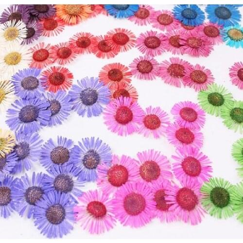 120pcs Pressed Dried Conyza canadensis Filler Flower For Epoxy Resin Jewelry Making Postcard Frame Phone Case Craft DIY