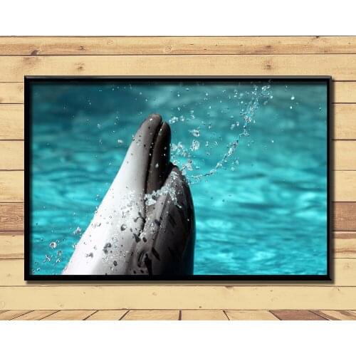 Dolphin Lovely Marine Animal (6) Wall Posters Prints Silk Art Painting For Home Wall Bedroom Decor