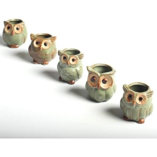 5pcs/lot Owl Flower Plant Pots Animal Planter Creative Ceramic Classic Pot for Fleshy Succulent Plant Home Garden Decoration