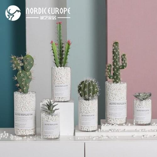 Simulation plant succulent cactus small potted ornaments in the living room