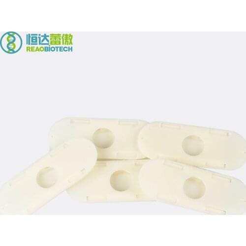 10pcs/lot Plastic Bee Bees Preventing Escaping Beekeeping Equipment and Apicultura Tools for Beekeeper Bee keeping