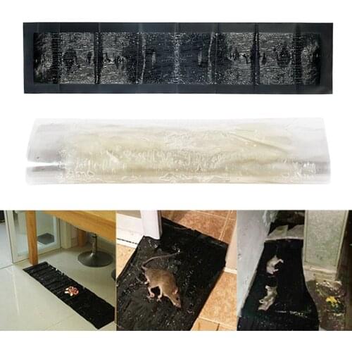 Ловушки для грызунов Footful China At AliExpress