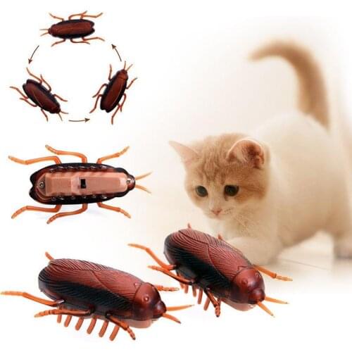 Kitten Toy Cockroaches Pet Cat Dog Training Playing Hardfakecockroache Funny Electronic Of Interactive Cockroach Pets