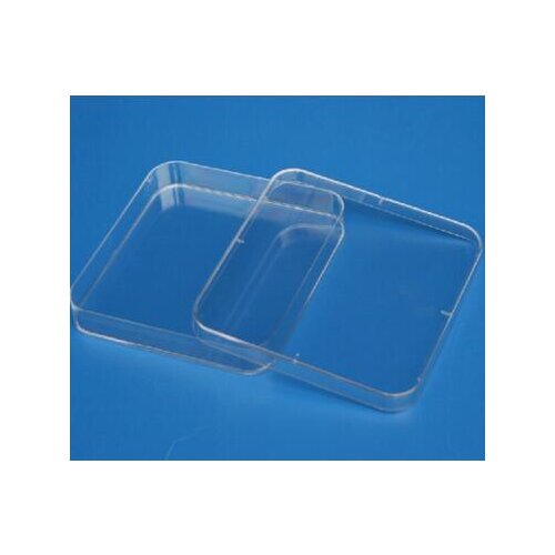 Laboratory analysis Disposable Plastic Polystyrene Petri Dishs 13*13cm,Sterile, 10pcs/pack