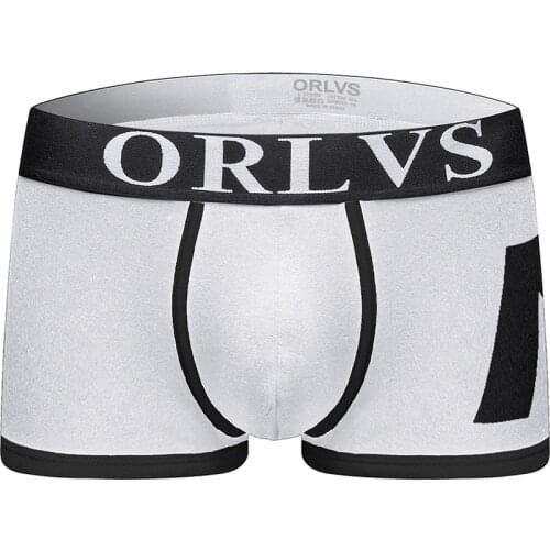 2020 ORLVS Brand Men sexy boys new Hugh letter print striped cotton triangle underwear shorts raised pockets boxers
