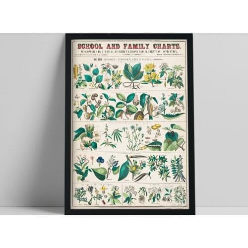 School Family Charts Retro Botanical Poster, Herbaceous Plant Exhibition Vintage Art Prints, Gardening Education Wall Decor Gift