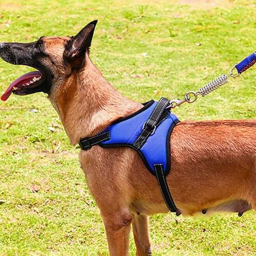 Pet Harness Leash Set, Adjustable Soft Padded No Pull No-Choke Breathable Dog Vest with Easy Control Handle for Small Dogs Outdo
