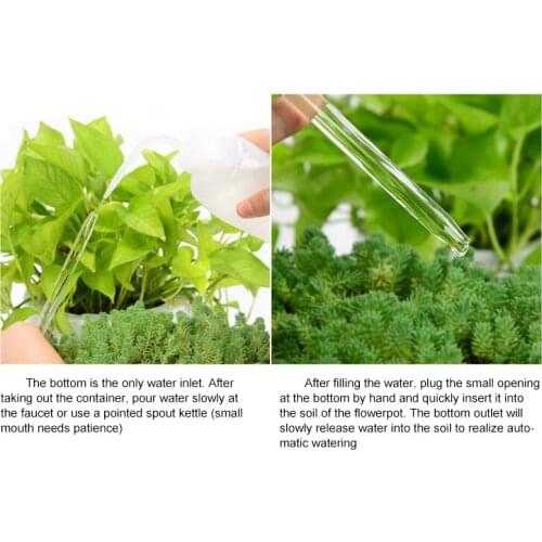 Cute Automatic Flower Watering Device Glass Self-Watering Stakes Plant Glass Waterer Automatic Irrigation Water Globe B99