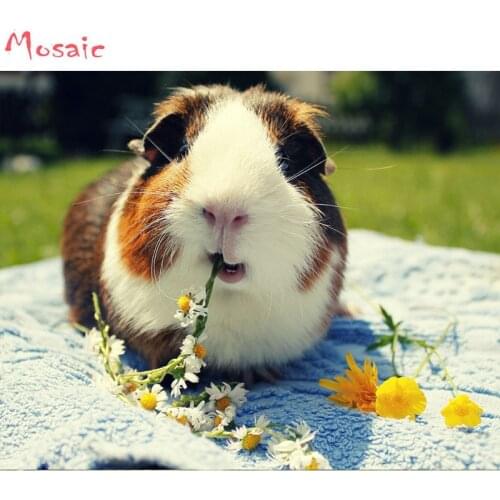 Guinea pig animal diamond painting full square Diamond embroidery 3d Cross Stitch Kit mosaic cute pet,diy painting wall art