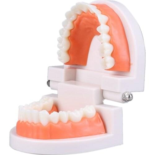 Educational Toys for Children Early Learning Kids Intelligence Brushing Tooth Teaching Aids Simulated