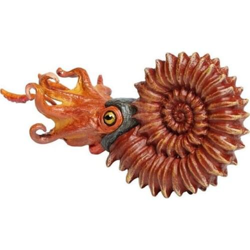 PVC figure Doll Nautilus