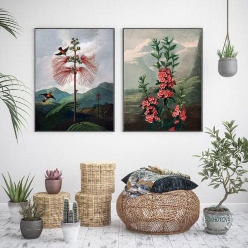 Classical Flower and Hummingbird Poster Vintage Botanical Mountain Canvas Painting Wall Art Prints Pictures Home Decor