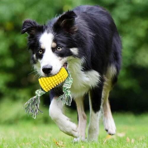 Corn Bite Resistant Dog Toothbrush Floatable Interactive Toy for Dogs Tooth Cleaning Leaking Dog Toys Supplies Pet Products