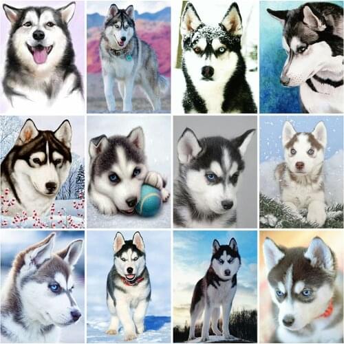 Evershine Diamond Painting Dog Cross Stitch Full Square Round Diamond Embroidery Animal Husky Rhinestones Pictures Home Decor