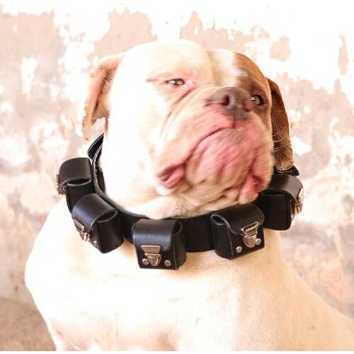 Homemade Weighted Large Dog Collars Pitbulls Neck Weights Supply Light Weight Dog Collar Weighted Game Time Training Dog Collar